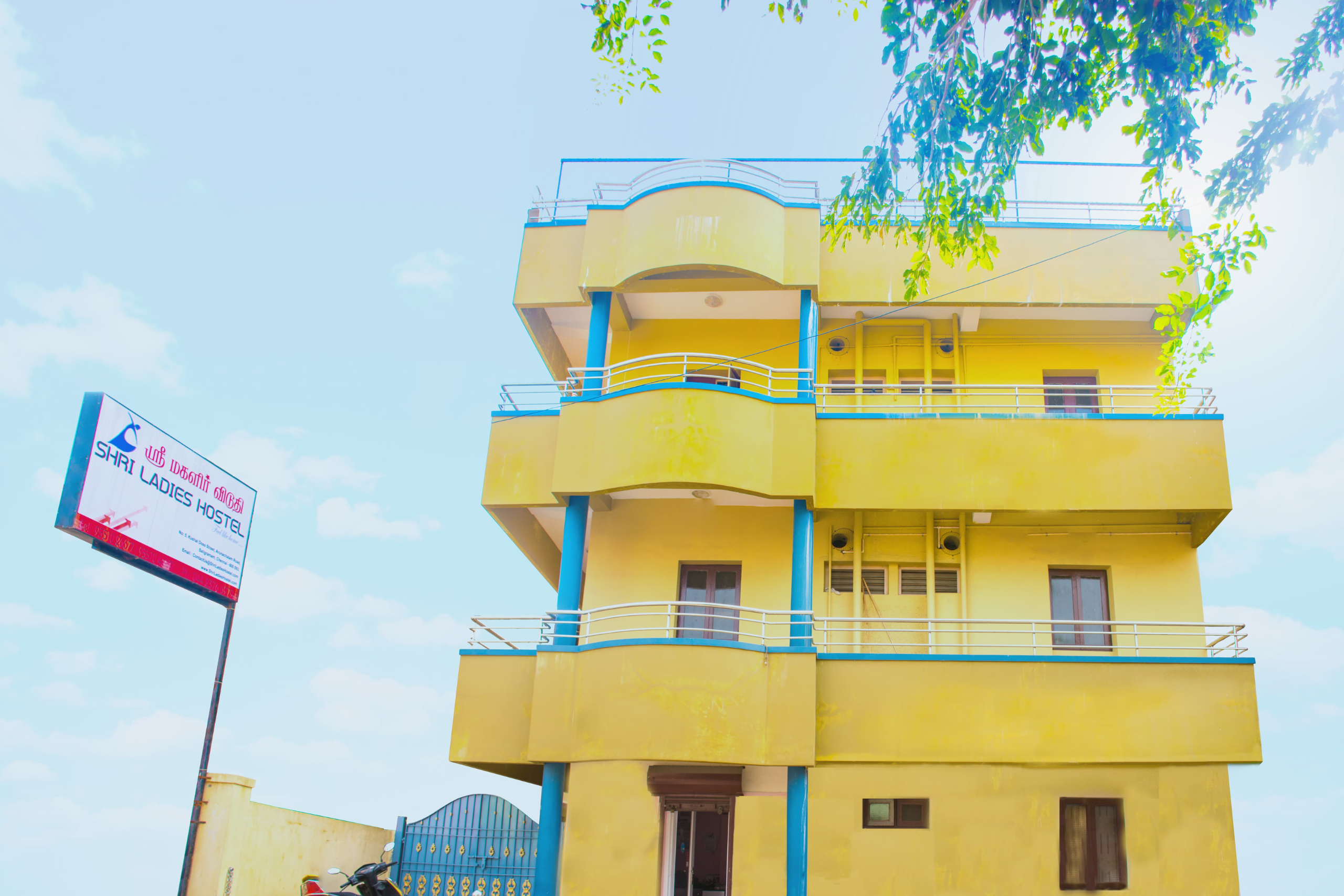 Untitled design (15)